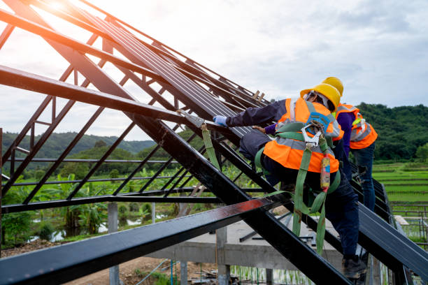 Best Storm Damage Roof Repair  in Lauderdale, MN