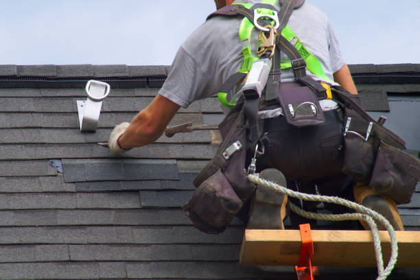 Professional Roofing Contractor in Lauderdale, MN