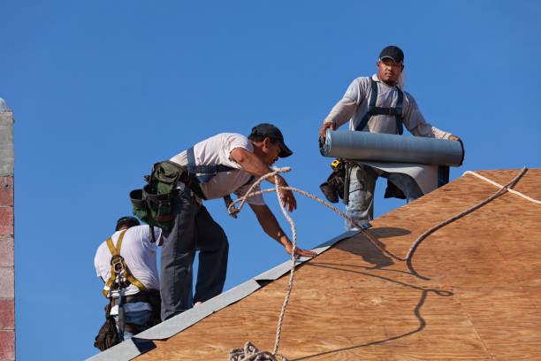 Best New Roof Installation  in Lauderdale, MN