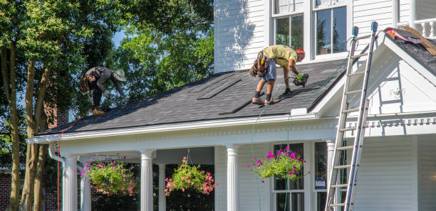 Best Roof Gutter Cleaning  in Lauderdale, MN
