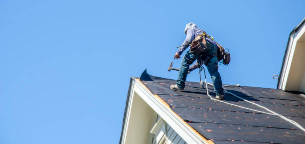 Best Roof Leak Repair  in Lauderdale, MN